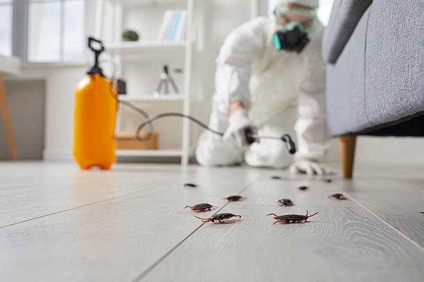 Commercial Kitchen Cockroach Control in East Spencer